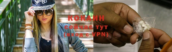 дмт Гусь-Хрустальный