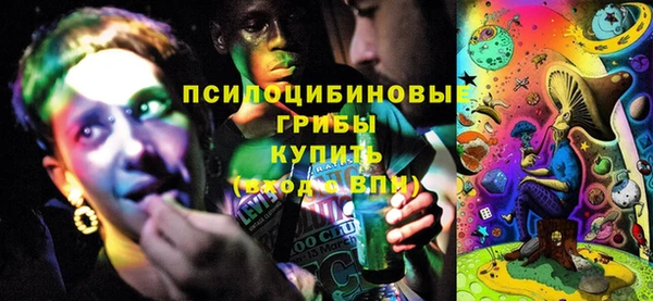 дмт Гусь-Хрустальный