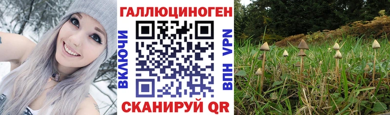 Галлюциногенные грибы Magic Shrooms Купить закладки Нефтекамск